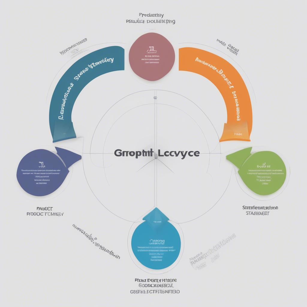 Product Strategy and Product Lifecycle