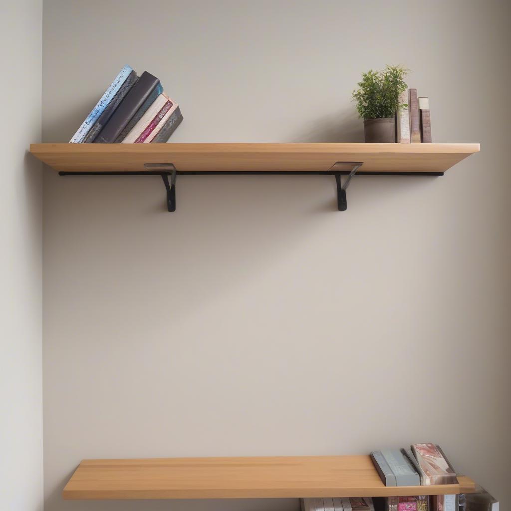 Fixed Shelf on the Wall